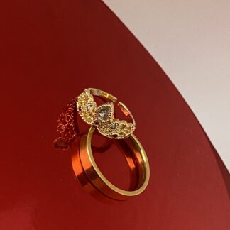 Par de anillos
